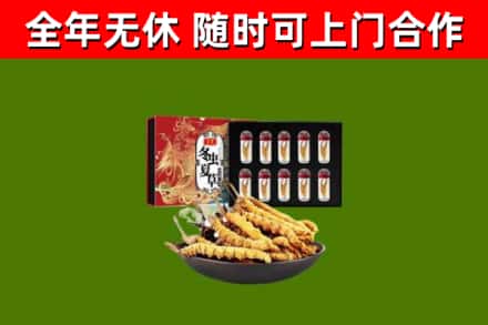 南丰县回收冬虫夏草价格